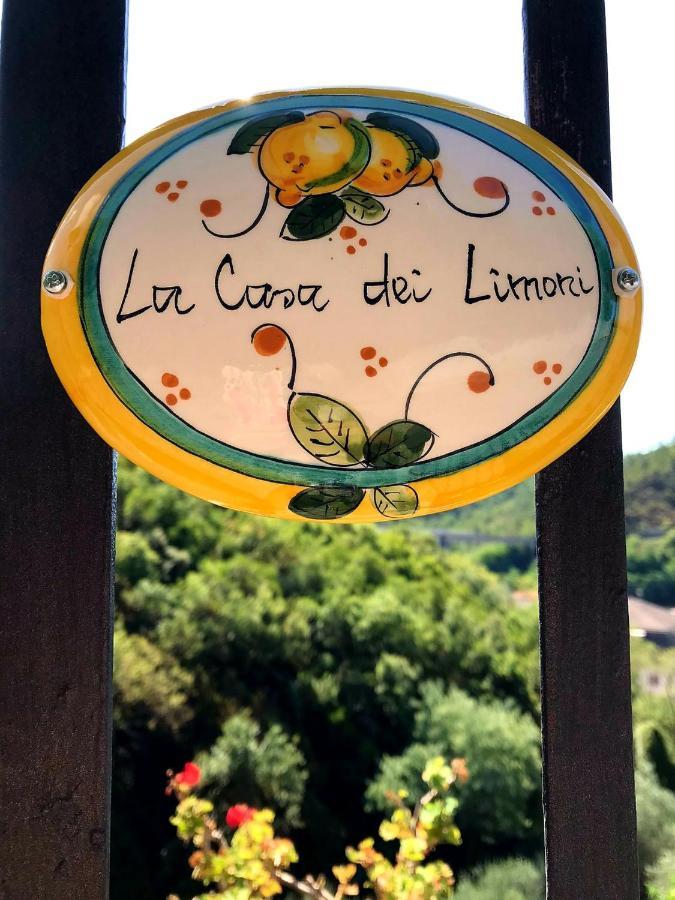 カザルツァ・リーグレLa Casa Dei Limoniアパートメント エクステリア 写真